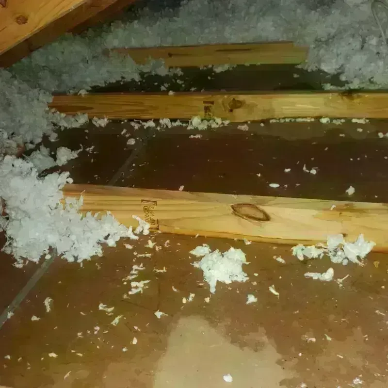 Attic Water Damage in Vieques Municipality, PR